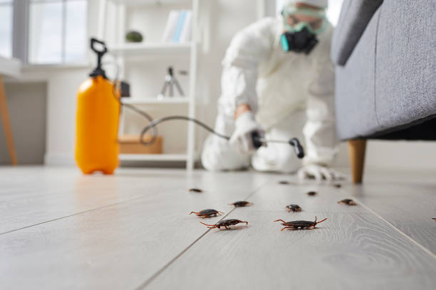Commercial Kitchen Cockroach Control in Batesburg-Leesville